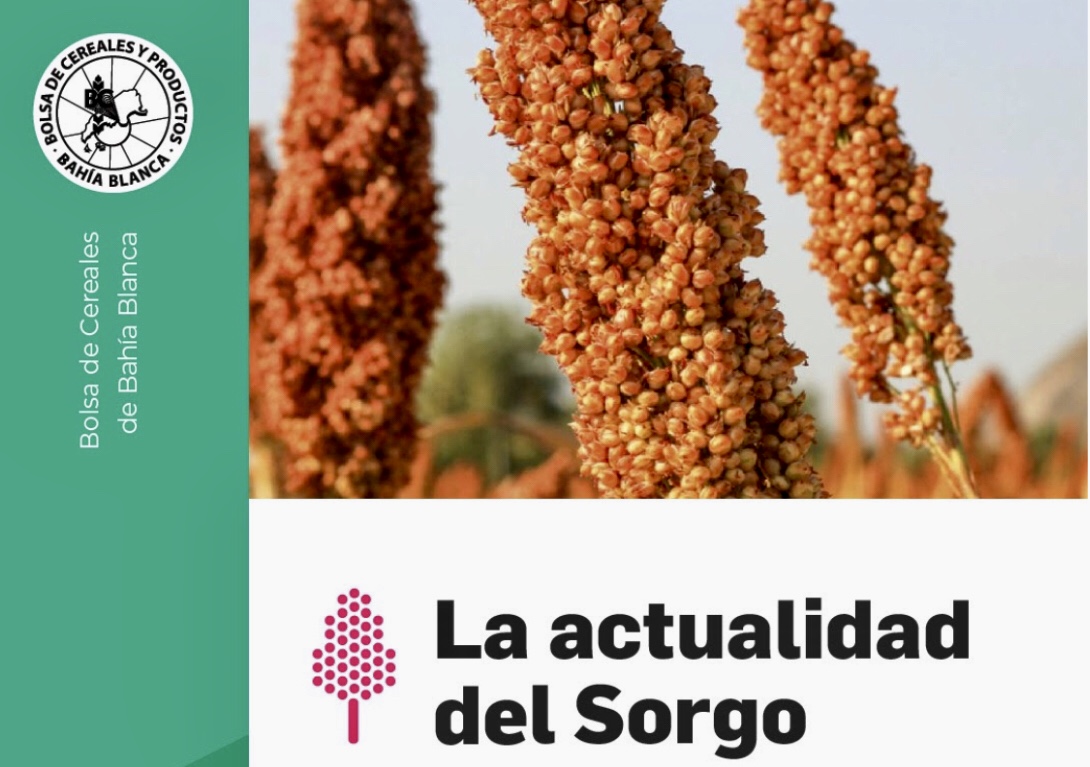 Argentina incrementa su producción de sorgo