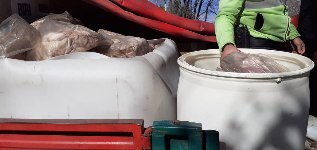 Decomisaron carne bovina transportada de forma irregular