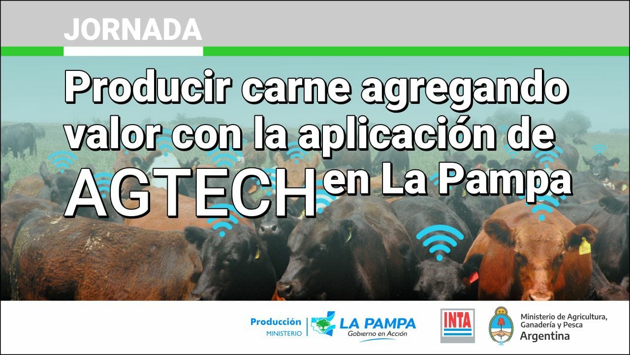 Producir carne agregando valor con la aplicación de AGTECH en La Pampa