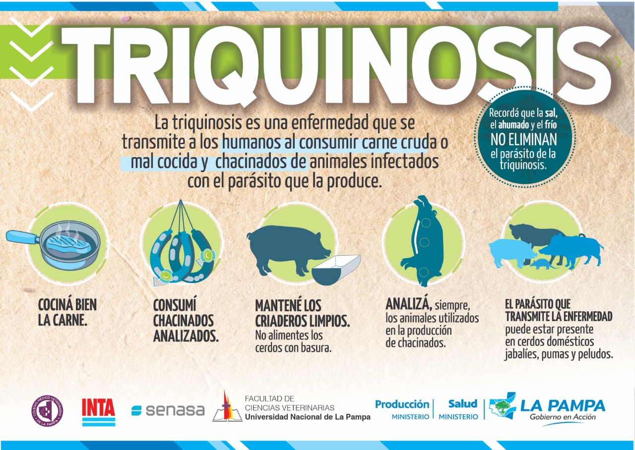 Denuncian caso de triquinosis: Salud reiteró medidas preventivas