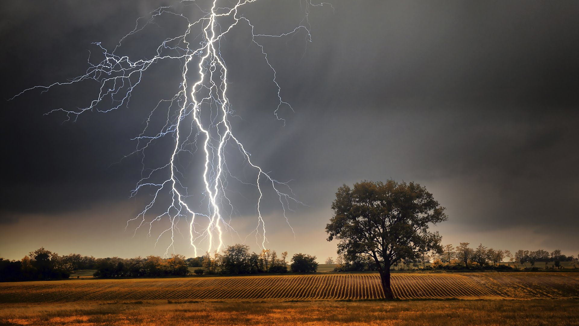 Tormenta de Santa Rosa, ¿mito o realidad?