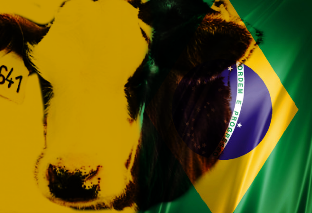 Brasil informó dos casos de “vaca loca” y se mantienen los controles