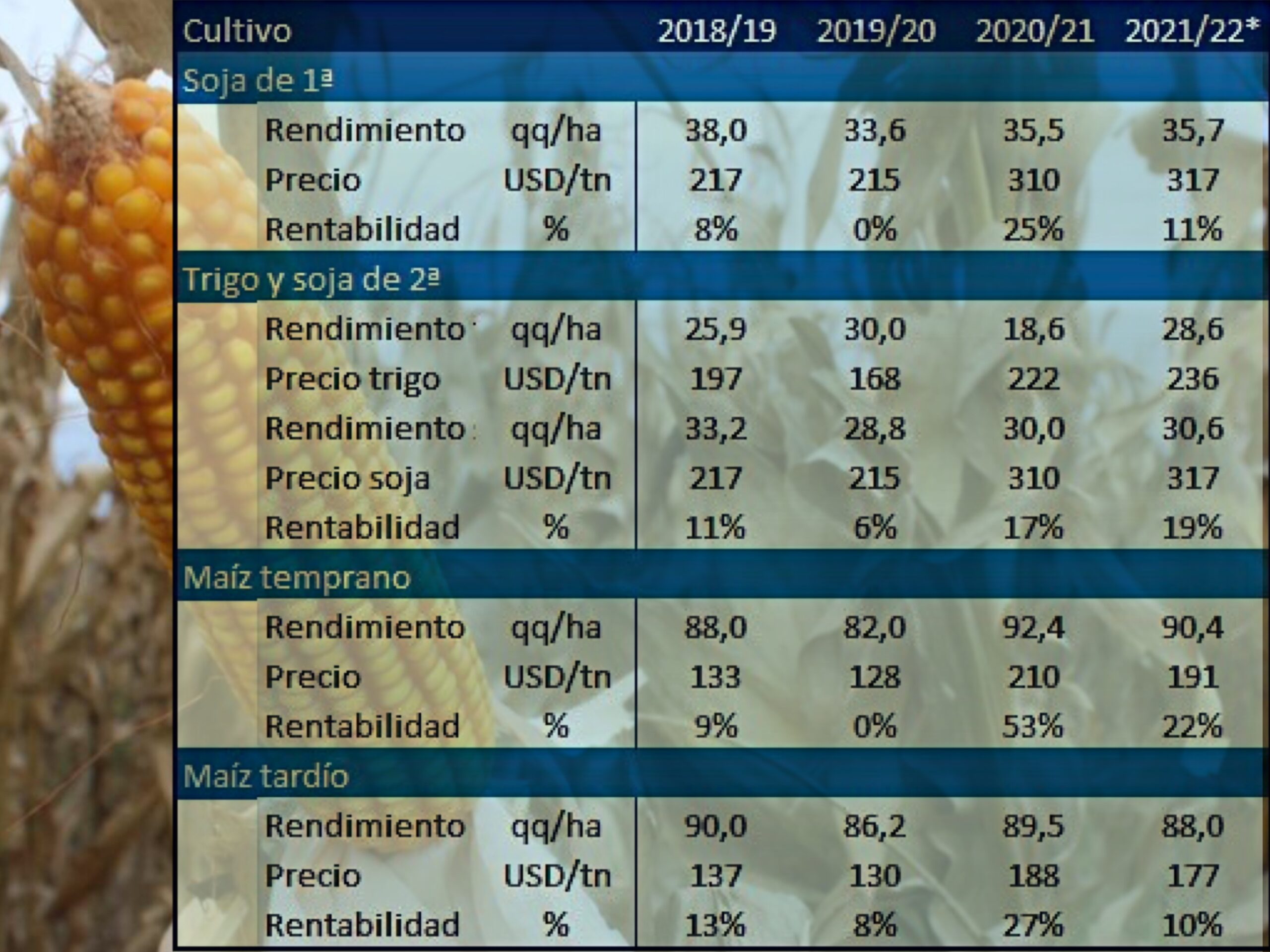 Con menos rentabilidad que la campaña 20-21 debido a los costos de siembra