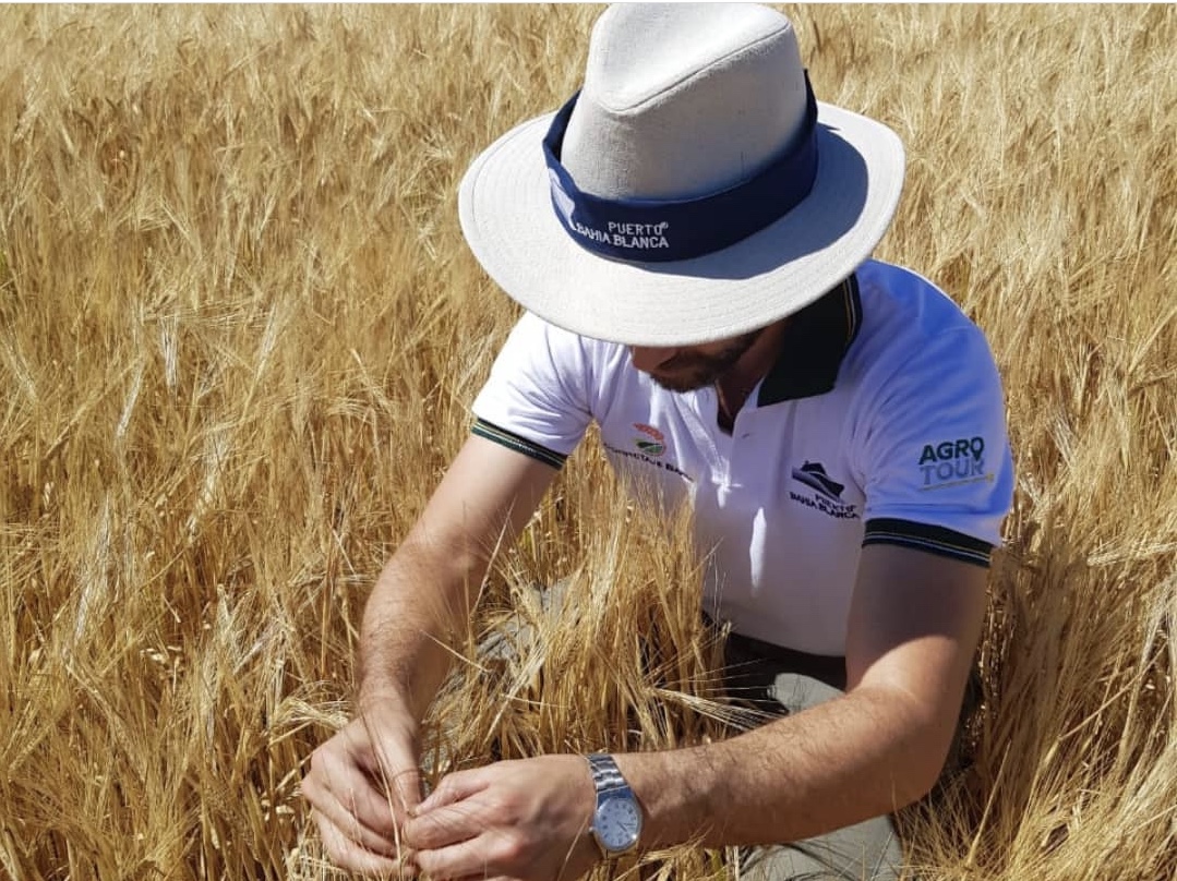 Agrotour: Cuarto día recorriendo lotes de trigo y cebada