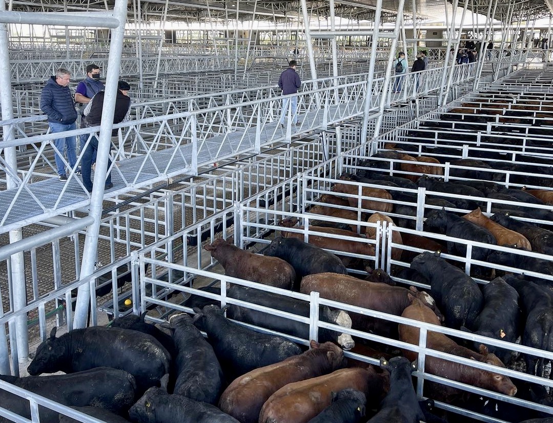 CARBAP rechazó toda intervención al Mercado de Cañuelas