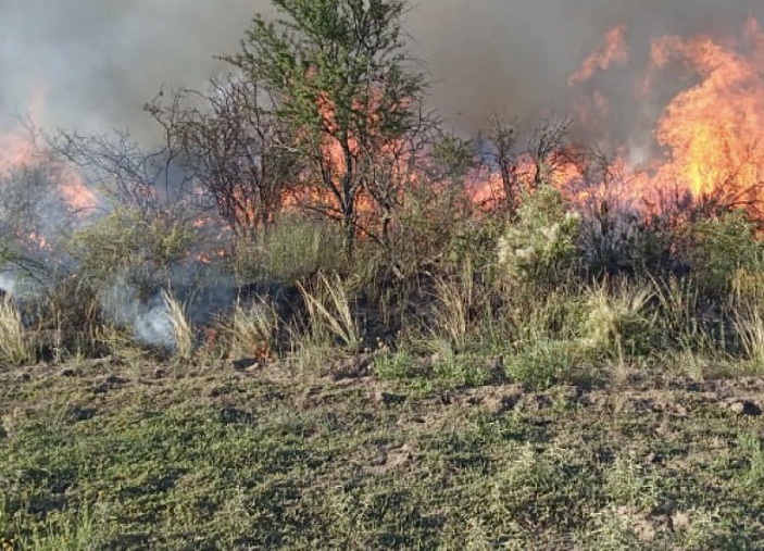 Brigadistas contuvieron incendio en un predio rural ubicado entre la Ruta Provincial 18 y 105