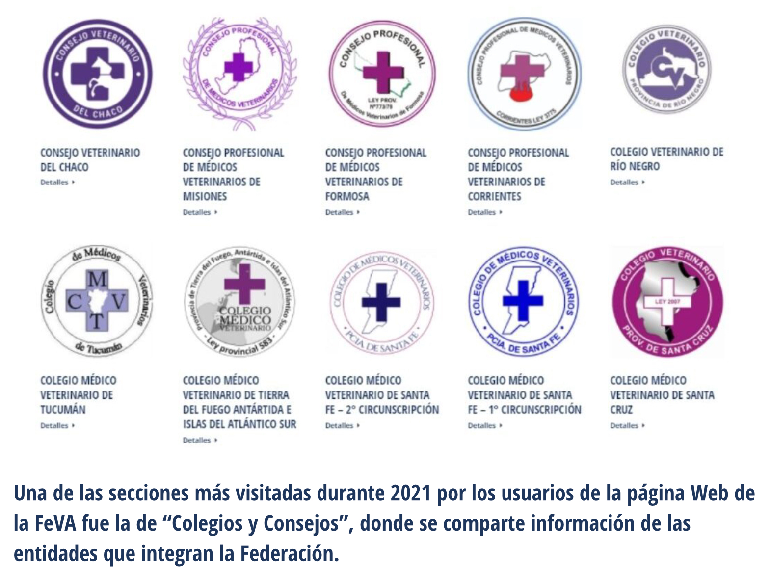 La FEVA reportó la visita en el 2021 de unas 35 mil visitas web