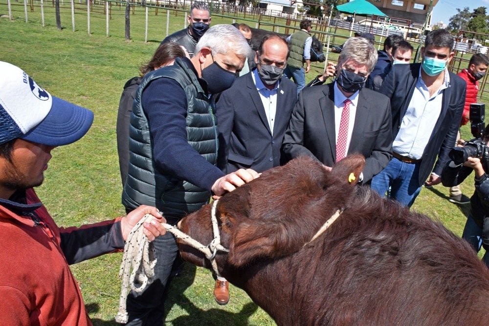 La Pampa será Prueba Piloto para Marca País de Carne Vacuna