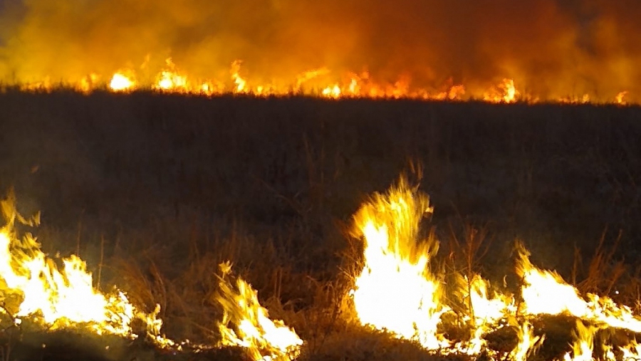 Se contuvo un incendio entre las Rutas Provinciales 13 y 32