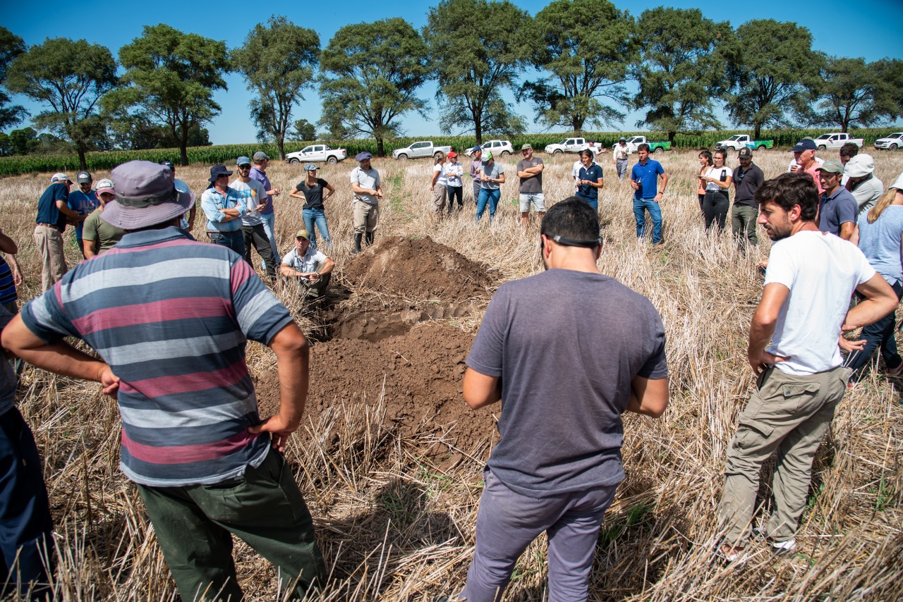 Terminó el ciclo sobre maní y pasturas