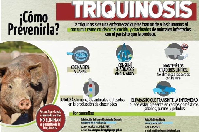 Confirman caso de triquinosis y reiteran medidas preventivas