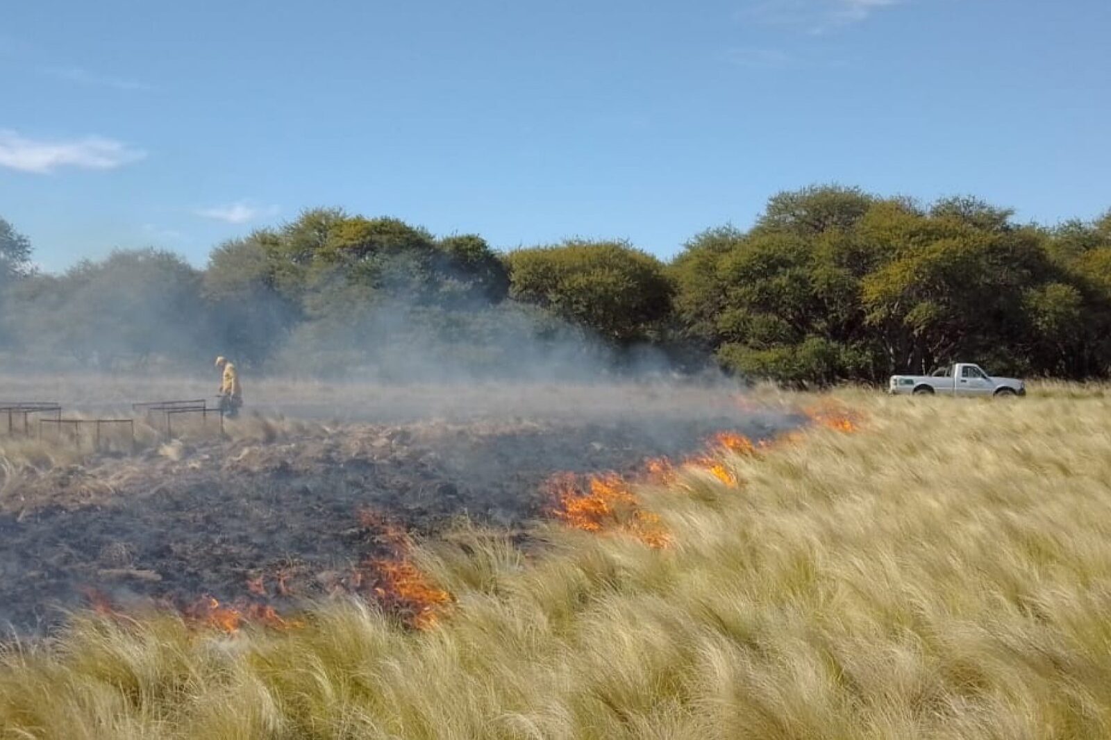 Últimos días para presentar solicitudes de quema de bosque