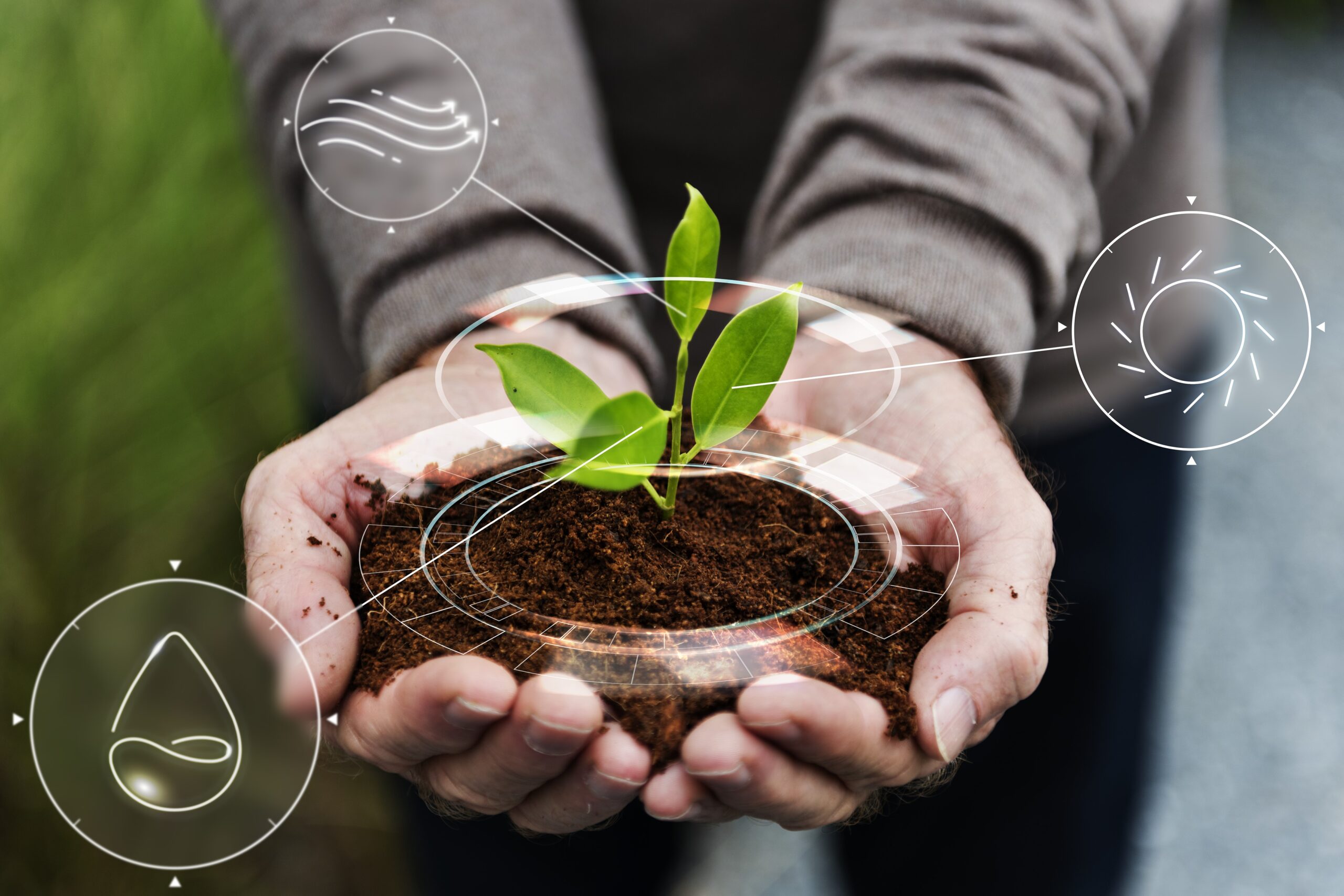 Menos volatilización y nitrógeno accesible para el cultivo