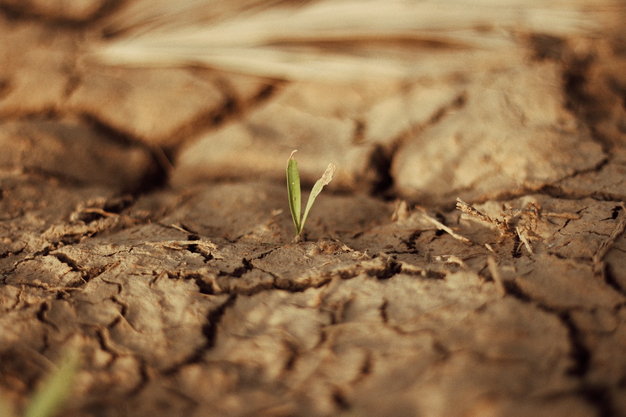 Amplían el área en emergencia agropecuaria por sequía