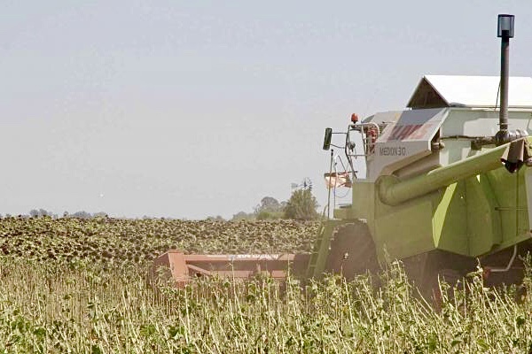 Se reunió del Grupo de Cambio Rural de contratistas del norte pampeano