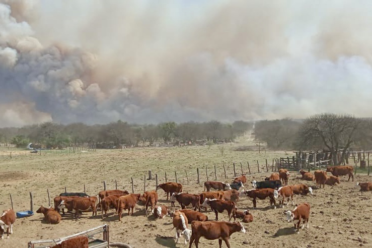 Producción recorrió establecimientos afectados por los incendios 