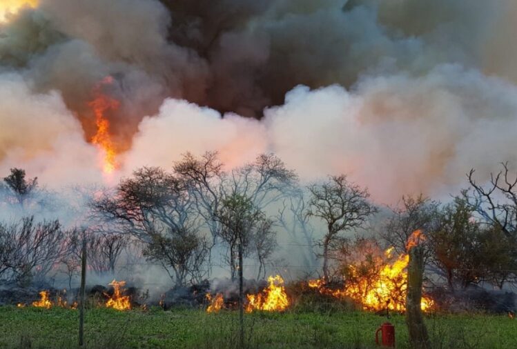 Finalizó la temporada de quema de bosque y monte