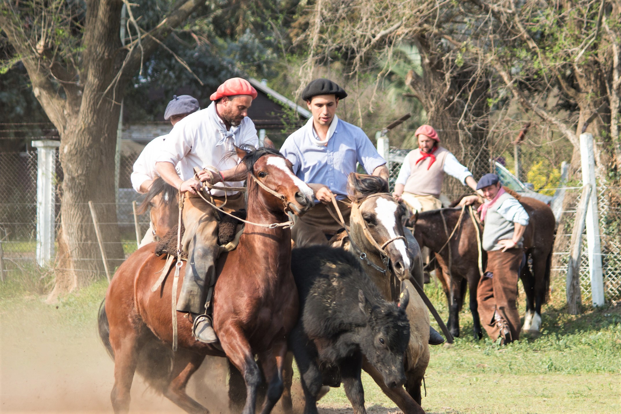 Intendente Alvear e Ingeniero Luiggi: fiestas y tradición