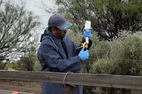 Con 24 entes sanitarios comenzó la 2° Campaña de Vacunación Antiaftosa 2022