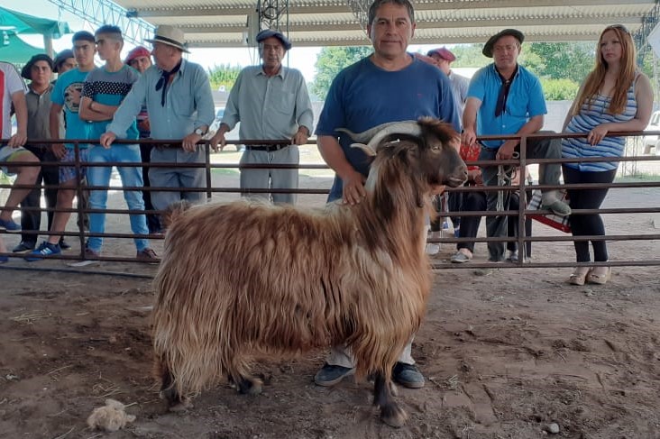 Se celebra una nueva Fiesta del Chivito