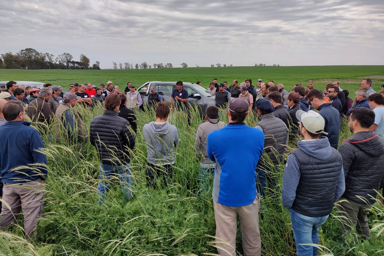 Napas, suelos salinos y estrategias de manejo planteadas en Santa Elena