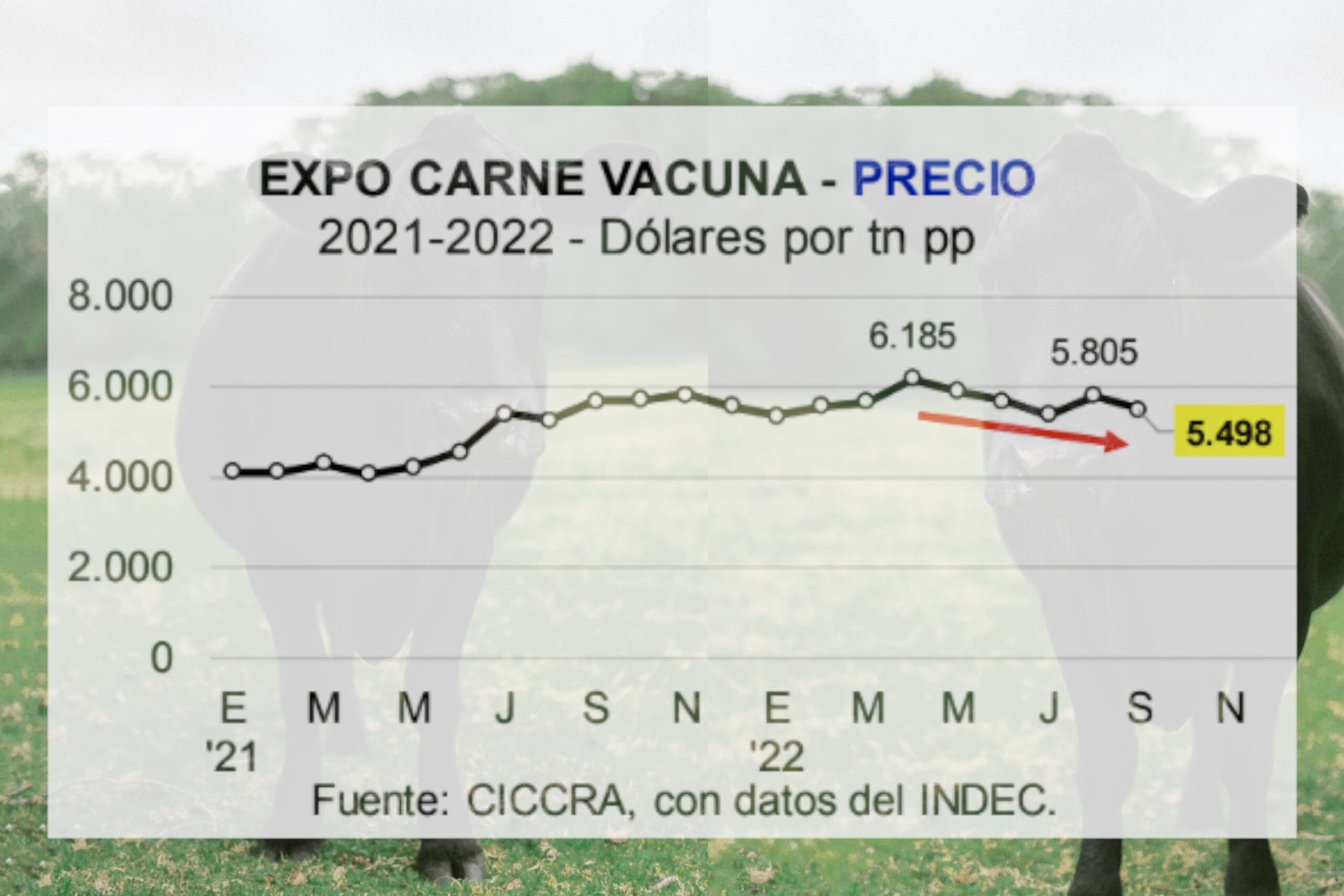 Las compras chinas y alemanas de carne no compensaron el descenso de las exportaciones