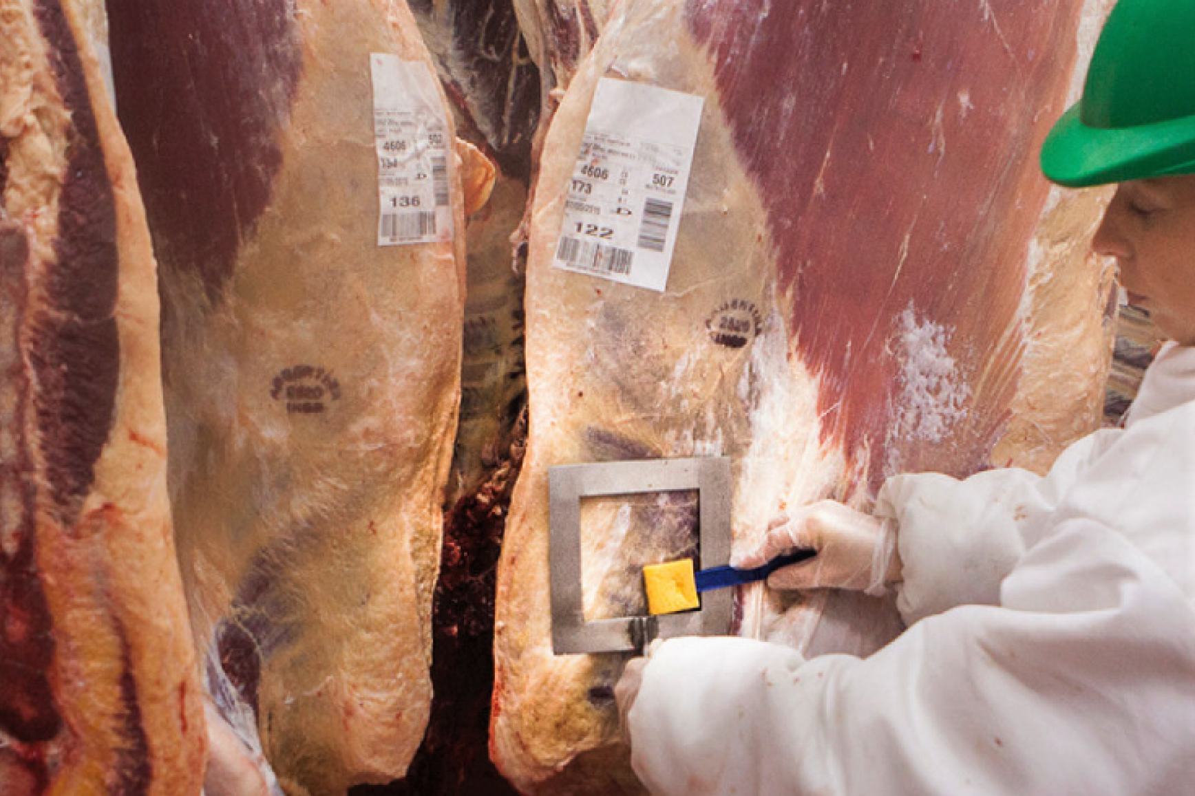 Las exportaciones de carne subieron pero cayó el precio