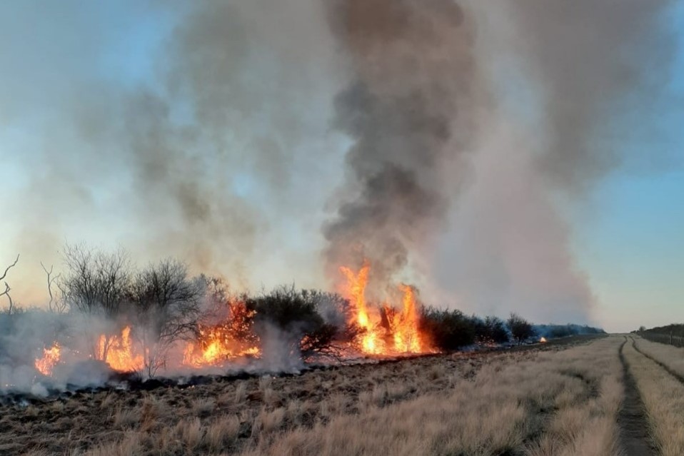 «El entorno del fuego»