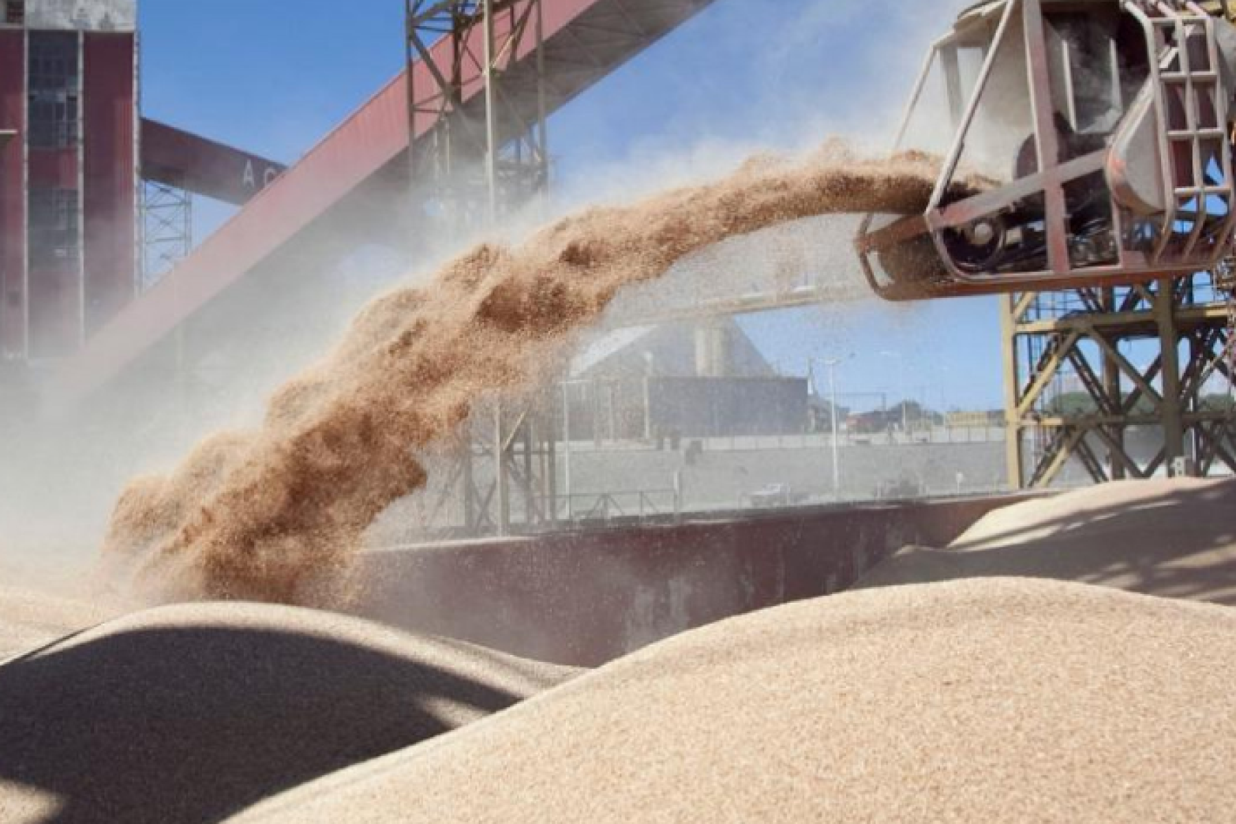 Actualización del Registro de Exportadores de Granos de maíz, sorgo, soja y cebada a China