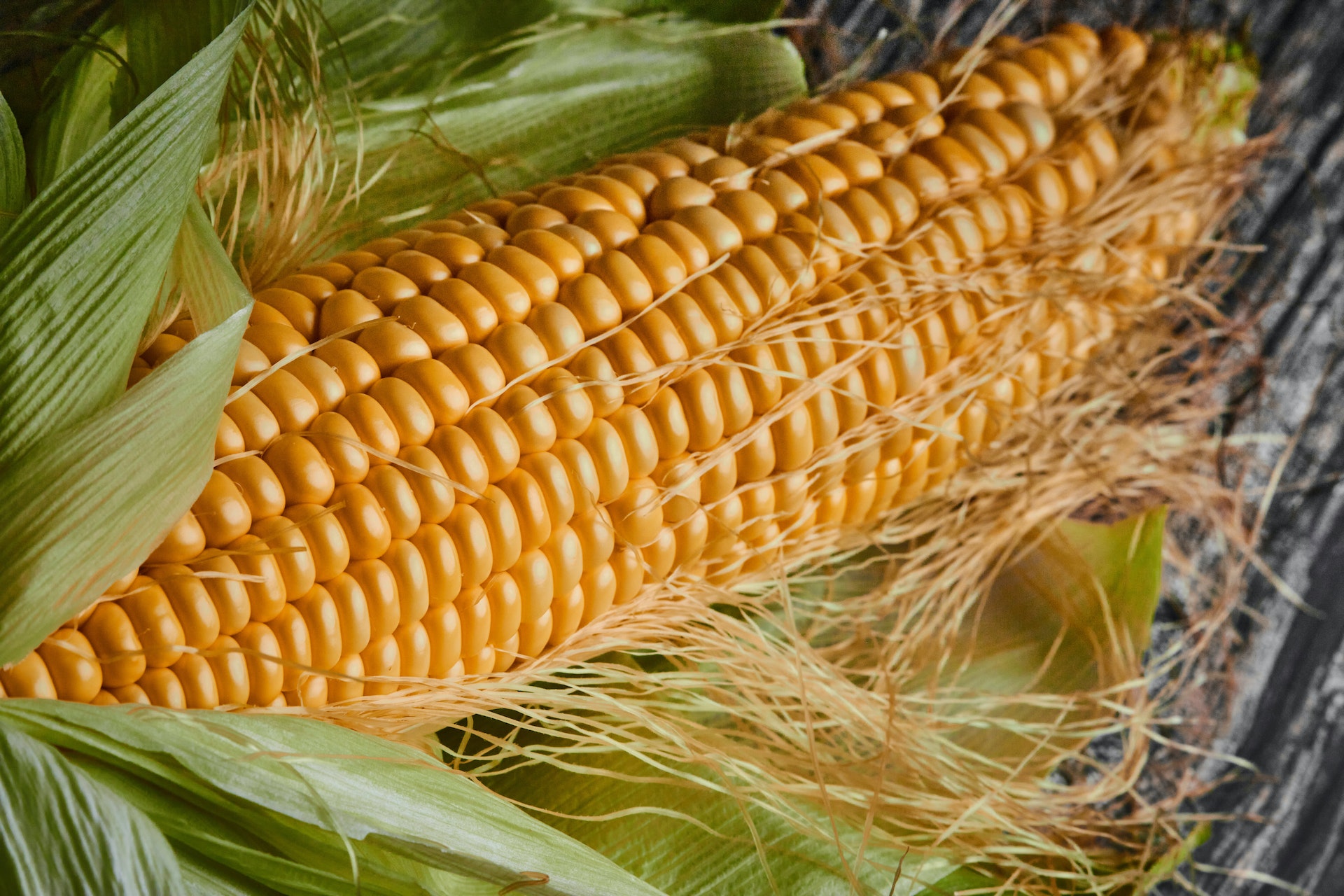 Crece la participación argentina en el mercado global de maíz