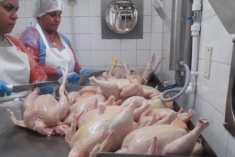 La planta de faena de aves despierta interés en los productores de la zona