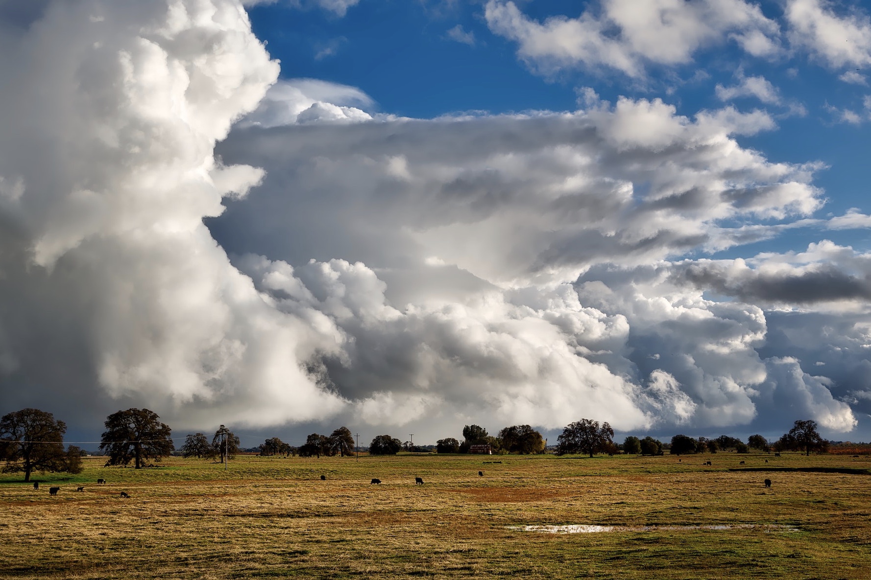 Lluvias normales, en el pronóstico hacia abril