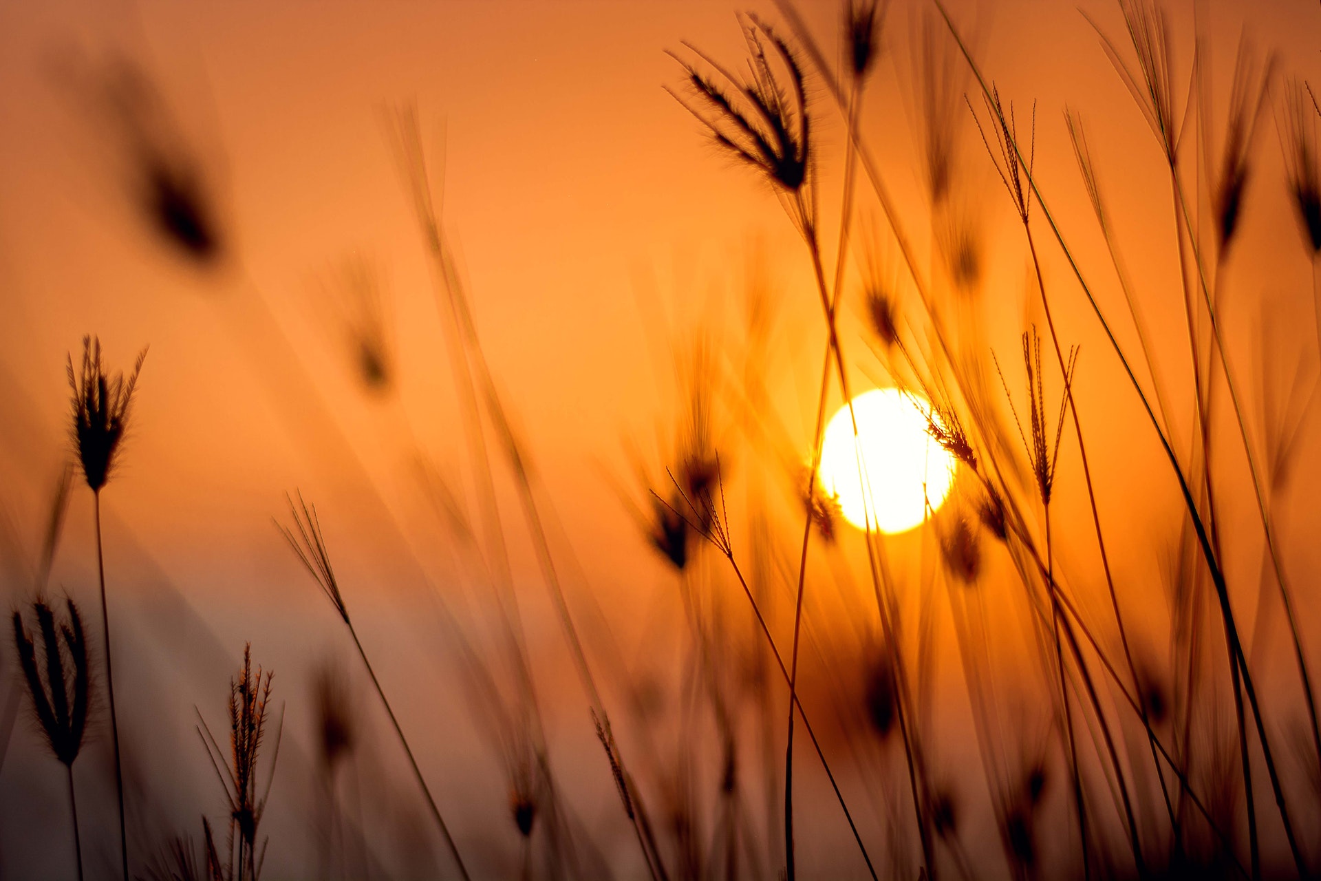 El este pampeano con pronóstico de altas temperaturas