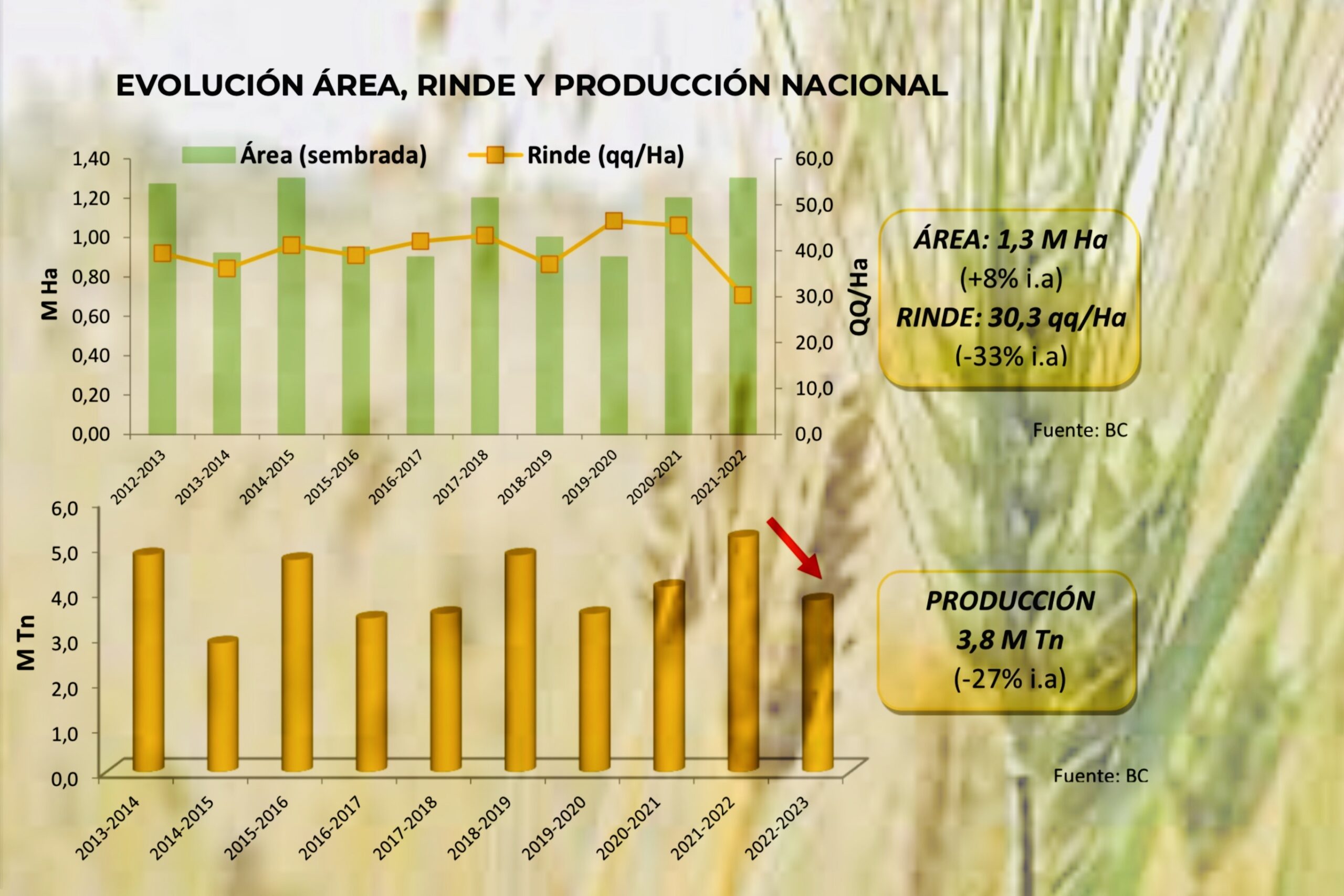 La cebada se estima para esta campaña en 4.2 millones de toneladas