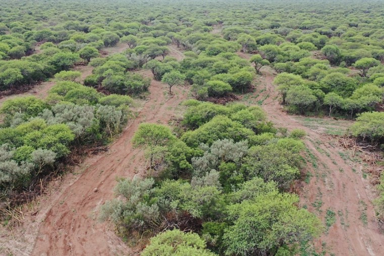 La Pampa accederá a U$S 1.700.000 provenientes del Fondo Verde