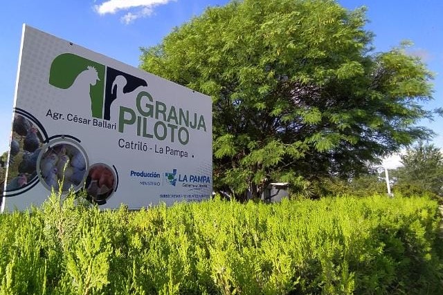 Las ponedoras rústicas, a favor de una producción más natural