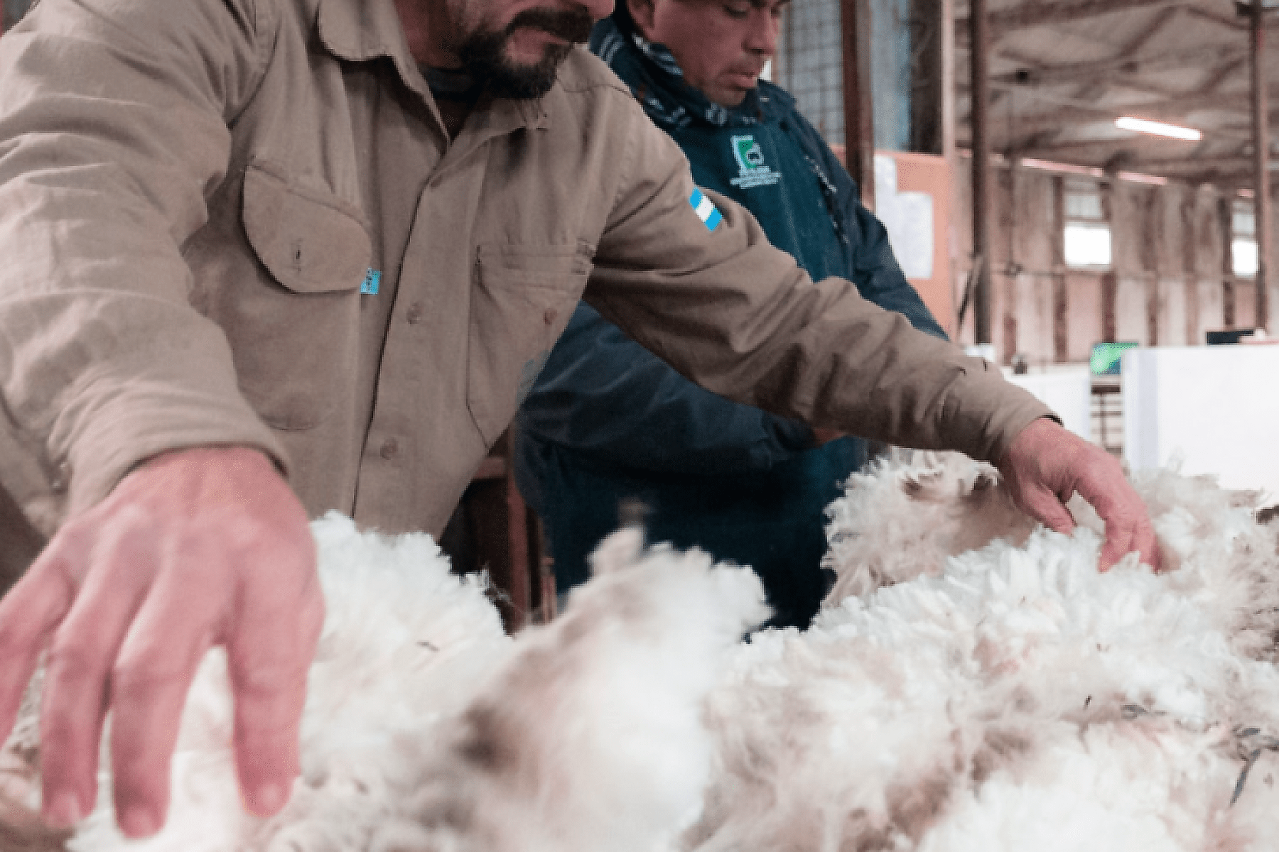 Argentina acordó con China la exportación de trigo, lana y menudencias bovinas