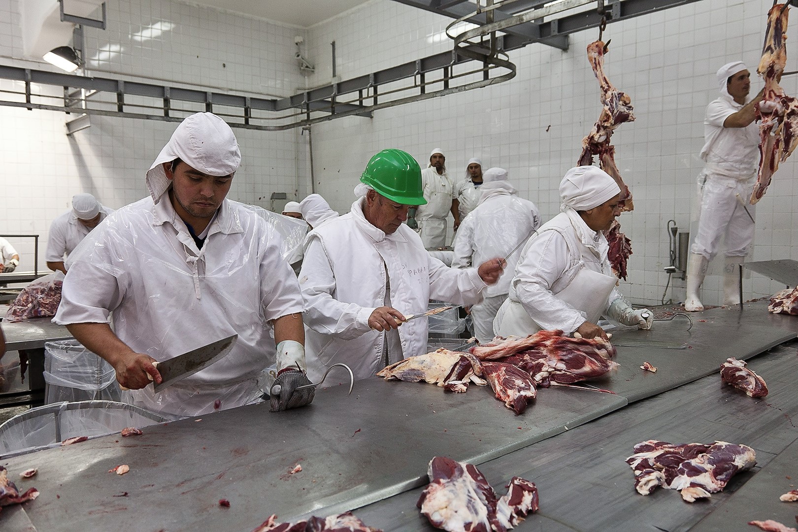 Macedonia del Norte importará carne bovina sin hueso de Argentina