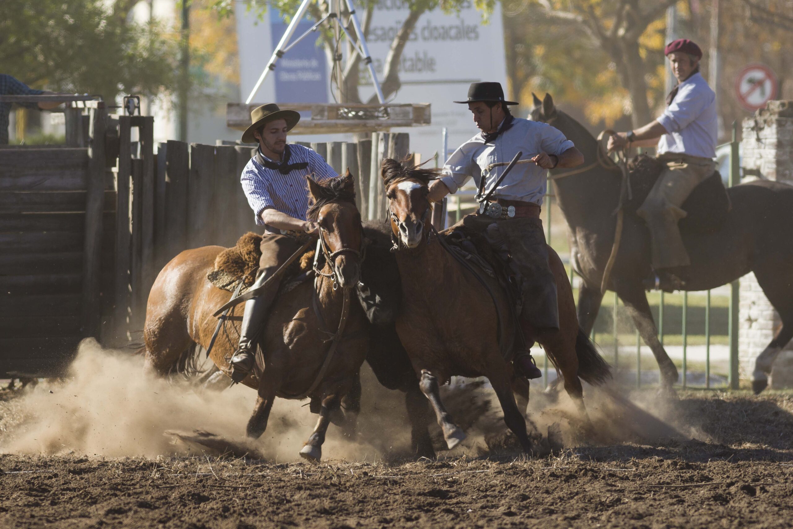 Este fin de semana: Expo Criollos en Santa Rosa