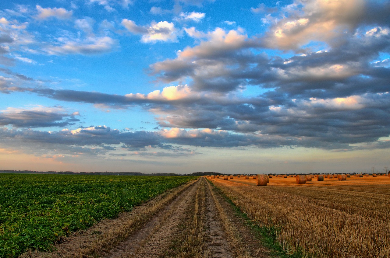 “Eficiencia ambiental en manejo de sistemas agrícolas”