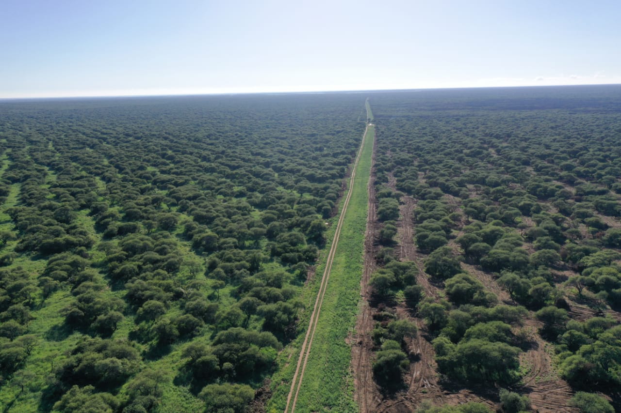 Abierta la convocatoria para manejo de bosques