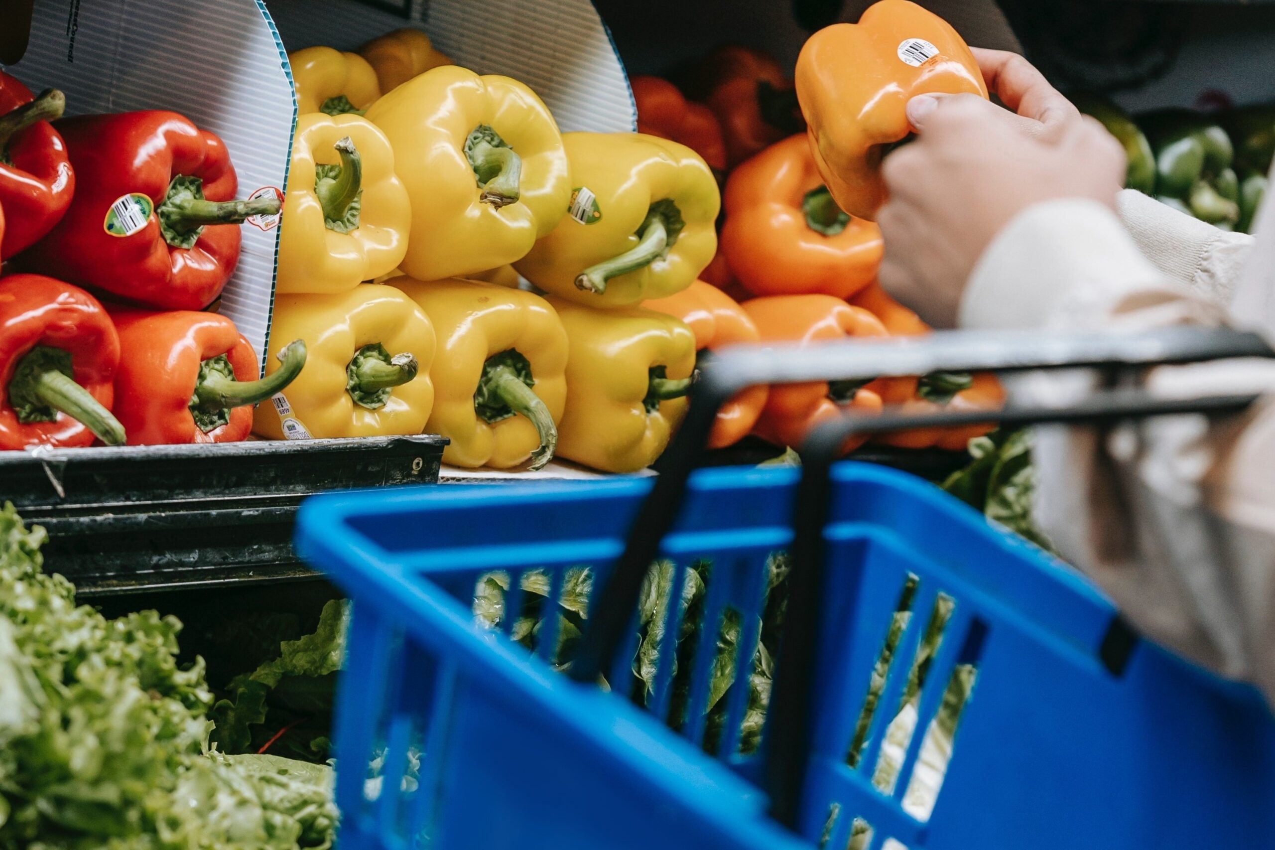 Del productor al consumidor, los precios de los agroalimentos se multiplicaron por 3,4 veces en julio