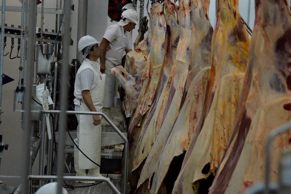 Las exportaciones de carne bovina de octubre mostraron una baja de ingresos