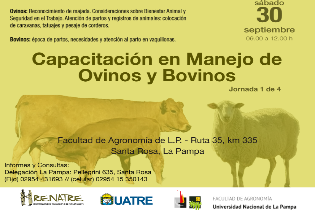 Capacitación en manejo de ovinos y bovinos