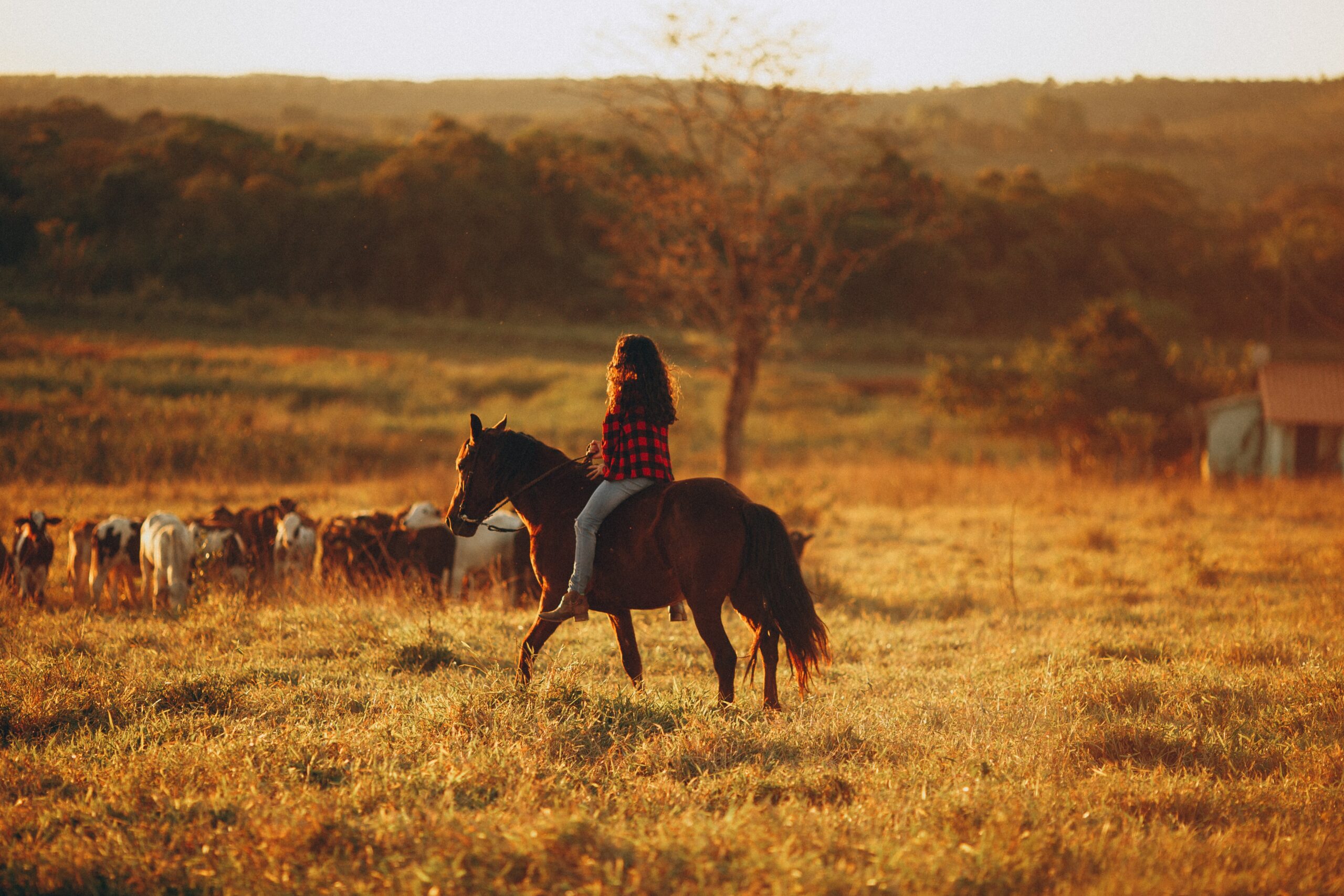 La FUMASA vacunará contra la encefalitis equina