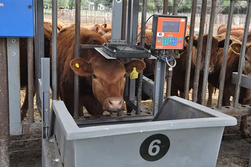 La facultad de Veterinarias firmó un convenio con la regional INTA