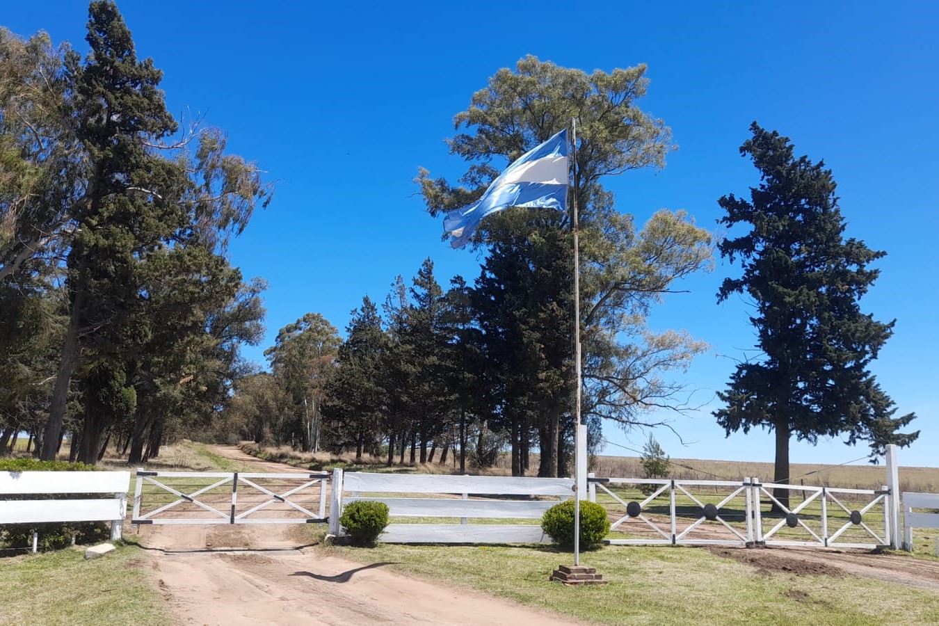 Preinscripciones 2024 en el Colegio Preuniversitario Agropecuario Realicó