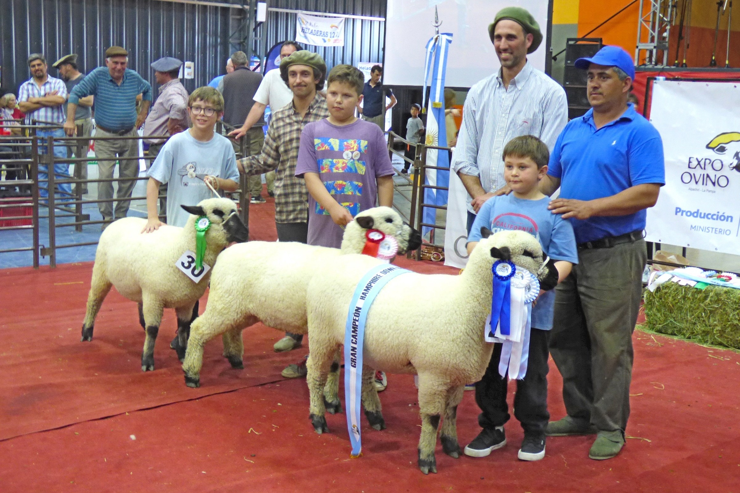 La 19° Expo Ovino en Alpachiri repitió el éxito de ediciones anteriores