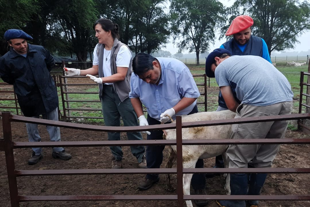 Finalizó un ciclo de capacitaciones del RENATRE en La Pampa