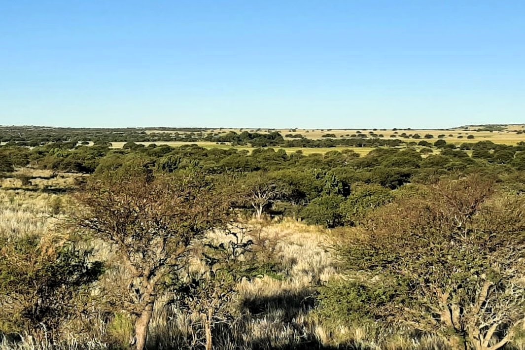 La Wildlife Conservation Society advirtió sobre los incendios en La Pampa